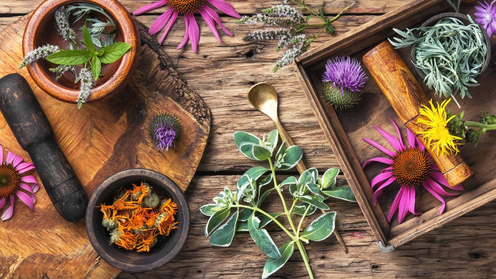 Spices: The Secret Behind Healthy and Beauty-enhancing Beverages